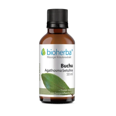 Abbildung von Buchu Agathosma Betulina 50 ml