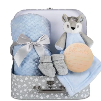 Abbildung von Hoolaroo Baby Blanket New Boy Gifts Newborn Box Fleece Blue Deer Rehkitz Tröster, Knit Booties, Hamper Koffer for Present Boys