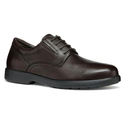 Abbildung von Geox Spherica EC11 Slipper, Herren, Größe: 43, Coffee Schuhe