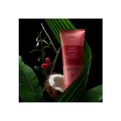 Abbildung von Aveda NutriPlenisch Daily Moisturizing Treatment