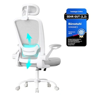 Abbildung von SONGMICS Bürostuhl ergonomisch, Drehstuhl mit Mesh, Lenden und Kopfstütze, Wippfunktion, 53 cm große Sitzfläche, klappbare Armlehnen, Arbeits Schlafzimmer, Studenten, Taubengrau OBN047G01