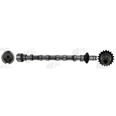 Abbildung von AE CAM1031 Nockenwelle Auslassseite PEUGEOT: Boxer Kastenwagen, Expert III 3008 I, FORD: KUGA 2, Grand C Max, FOCUS 3 Turnier
