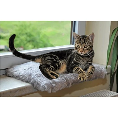 Abbildung von Katzen Fensterliege grau