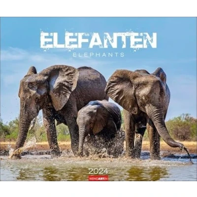 Abbildung von Elefanten Kalender 2024. Die sanften Riesen Afrikas, porträtiert in einem großen Wand Kalender. Hochwertiger Fotokalender voll beeindruckender Aufnahmen. 55x46 cm Querformat