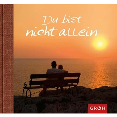 Abbildung von Du bist nicht allein (Weil es dich gibt)