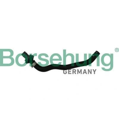 Abbildung von Borsehung B11971 Kurbelgehäuseentlüftung VOLKSWAGEN: Passat B6 Variant, GOLF 6, CC, AUDI: A3 Schrägheck, Sportback, TT Coupe