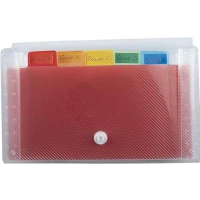Abbildung von Exacompta 55298E Premium Kunststoff Fächermappe Crystal 33 x 25 cm mit 13 farbigen Fächern dehnbarem Rücken und Druckknopfverschluss zur Aufbewahrung Ihrer Dokumente Ordnungsmappe transparent