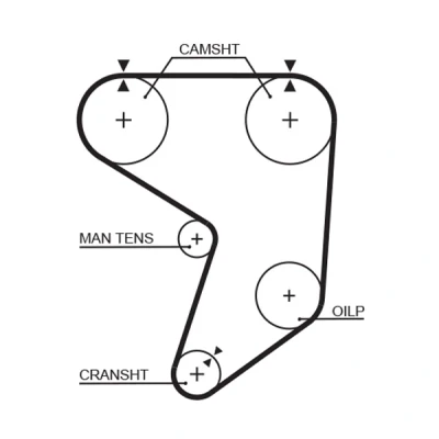 Abbildung von GATES T237RB Zahnriemen 159 1272 25 TOYOTA: Supra III
