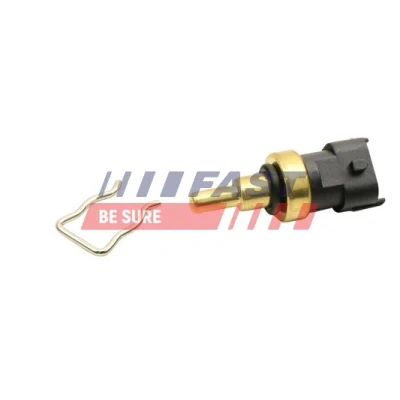 Abbildung von Sensor, Kühlmitteltemperatur FAST FT80131
