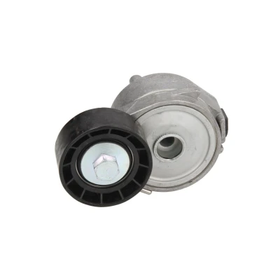 Abbildung von DAYCO APV2556 Riemenspanner CITROËN: Berlingo II, C4 I Schrägheck, / First I, PEUGEOT: 206 Schrägheck