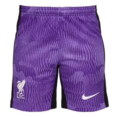 Abbildung von Nike Performance LFC M NK DF STAD Short 3R Vereinsmannschaften, Herren, Größe: Large, Space purple/court purple/white