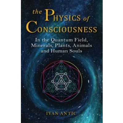 Abbildung von the Physics of Consciousness: In Quantum Field, Minerals, Plants, Animals and Human Souls (Existence Consciousness Bliss, Band 1)