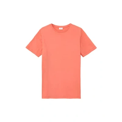 Abbildung von s.Oliver Tshirt print für Kinder, Größe: 170/176, Orange