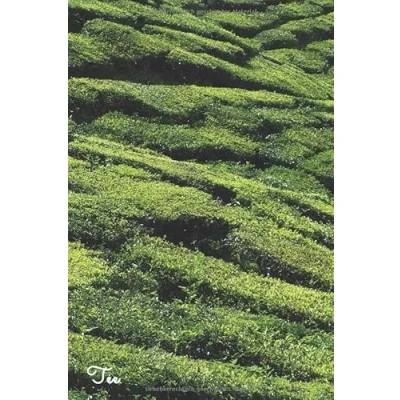 Abbildung von Tee: Notizbuch / Tagebuch Teeplantage DIN A5 120 Seiten liniert Geschenkidee Teeliebhaber