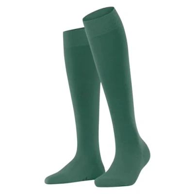 Abbildung von FALKE Damen Softmerino W KH Wolle Baumwolle lang einfarbig 1 Paar Kniestrümpfe, Grün (Caiman 7998), 37 38