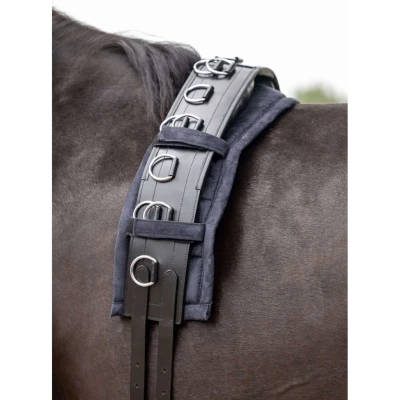 Abbildung von HB Showtime Longiergurt Luxe Leder Schwarz Warmblut