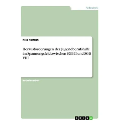 Abbildung von Herausforderungen der Jugendberufshilfe im Spannungsfeld zwischen SGB II und VIII
