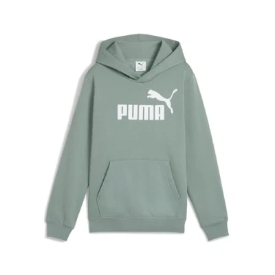 Abbildung von PUMA Jungen No. 1 Logo Hoodie FL B Kapuzenpullis, Green Moon, 128 EU