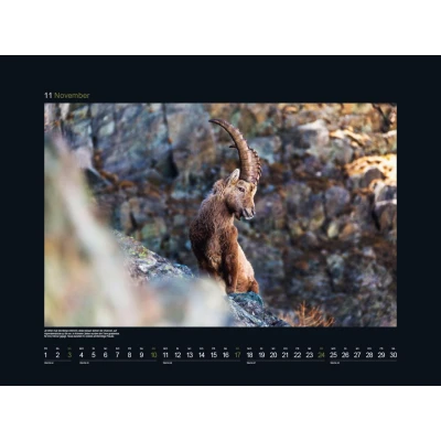 Abbildung von Wildnis Alpen KUNTH Wandkalender 2024: Hochwertiger, bildstarker Kalender mit Spiralbindung im Großformat (KUNTH Black Edition 60 x 45 cm)