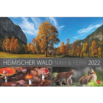 Abbildung von Wald nah und fern Edition Kalender 2022