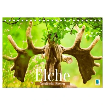 Abbildung von Elche: Nordische Riesen (Tischkalender 2025 DIN A5 quer), CALVENDO Monatskalender