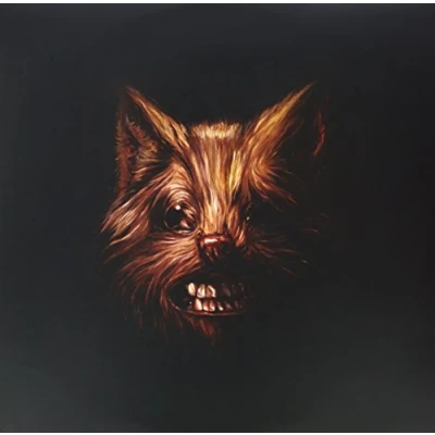 Abbildung von The Seer [Vinyl LP]