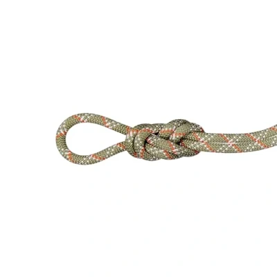Abbildung von Mammut 9.5 Gym Classic Einfachseil