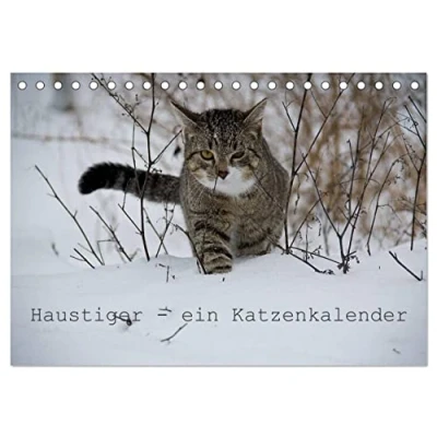 Abbildung von Haustiger Ein Katzenkalender (Tischkalender 2025 DIN A5 quer), CALVENDO Monatskalender
