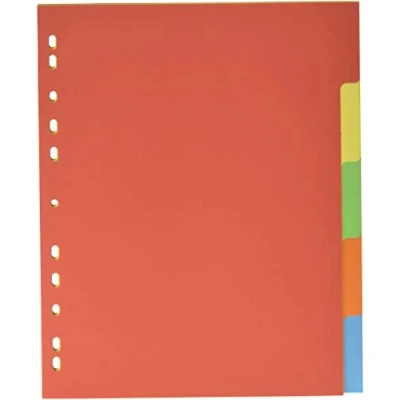 Abbildung von Pagna 32004 20 Register, A4, XXL, 5 teilig, farbig