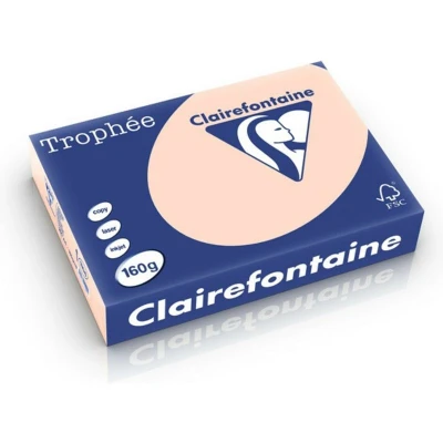 Abbildung von Clairefontaine Kopierpapier 1104PC A4 160g lachs 250 Blatt