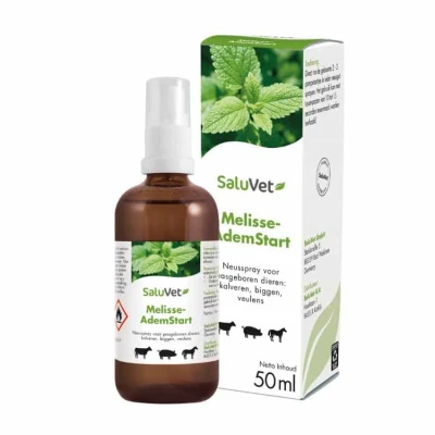 Abbildung von VITALstyle Melissengeist Atemspray 50 mlVITALstyle 100 ml