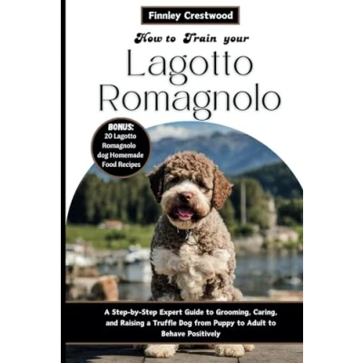 Abbildung von How to Train Your Lagotto Romagnolo: a Step by Expert Guide Grooming, Caring, and Raising Truffle Dog from Puppy Adult Behave Positively