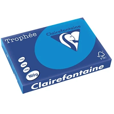 Abbildung von 4 x Clairefontaine Kopierpapier Trophee A3 160g/qm VE=250 Blatt karibi