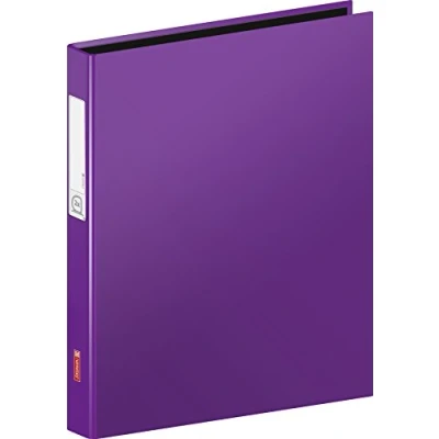 Abbildung von 6 x Brunnen Ringbuch A4 Karton 20mm 2 Ringe violett