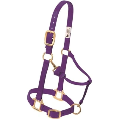 Abbildung von Weaver Leather Original verstellbares Nylon Pferdehalfter, Jährling, violett