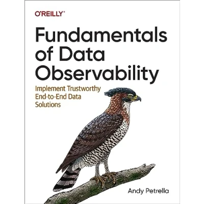 Abbildung von Fundamentals of Data Observability: Implement Trustworthy End To Solutions