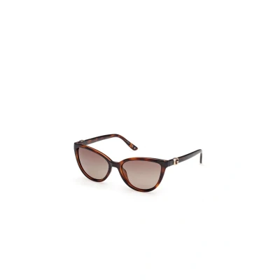 Abbildung von Guess Damen GU00189 52H Gläser SONNENBRILLEN Injiziert Cat Eye Polarisiert