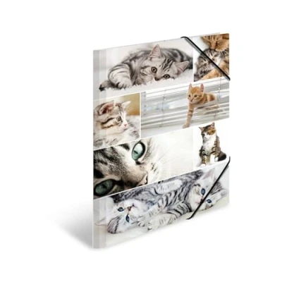 Abbildung von HERMA Organisationsmappe Sammelmappe DIN A3 Karton Tiere Katzen