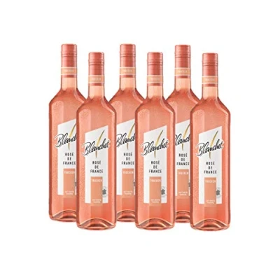 Abbildung von Blanchet Rosé de France Roséwein Trocken (6 x 0,75l)