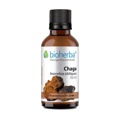 Abbildung von Chaga Inonotus Obliquus 50 ml