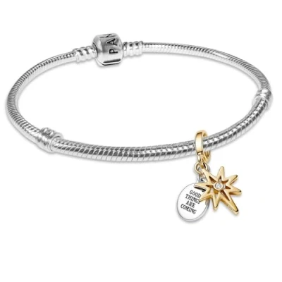Abbildung von Pandora 68602 Damenarmband Geschenk Set Nordstern Zweifarbig