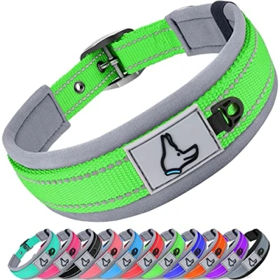 Abbildung von Joytale Halsband Hund, Weich Hundehalsband Gepolstert Neopren Hunde für Große Hunde, Nylon Reflektierend Breit Halsbänder, Grün