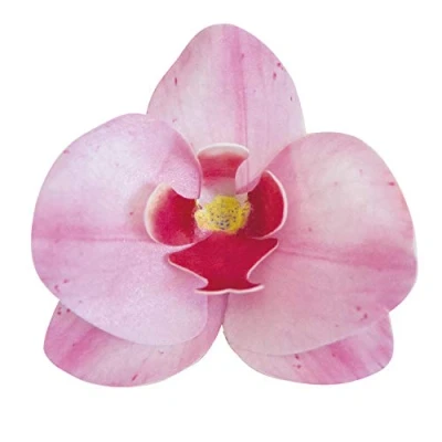 Abbildung von dekora 126066 Orchideen Tortendeko 10 Essbare Blumen für Torte aus Esspapier Rosa 7,5 8,5 cm
