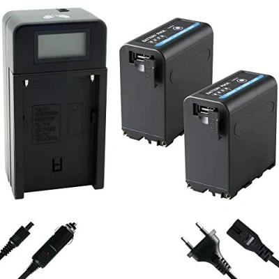 Abbildung von 2X SK Akku Ersatz für Sony NP F980 10050mAh LG + Speed Charger F750 F960 F970 F990 / 5V USB Ausgang/DC 8,4V EIN &amp; Ausgang