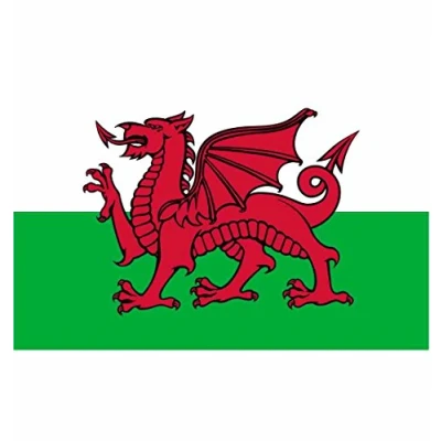 Abbildung von Welsh Dragon National Flagge, Mehrfarbig, Nicht zutreffend