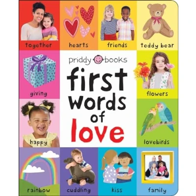 Abbildung von First Words Of Love (First 100 Soft To Touch)