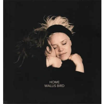 Abbildung von Home (180g Solid Clear Vinyl) [Vinyl LP]