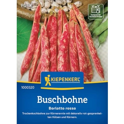 Abbildung von Kiepenkerl Buschbohnensamen Borlotto Rosso 1000320 Gemüsesamen für eine Trockenkochbohne und einem Inhalt 5 bis 10 lfd. Meter Saatgut, Pflanzen