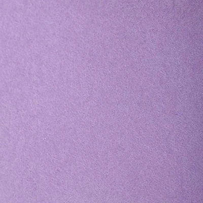 Abbildung von Clairefontaine 93759C Packung (mit 24 Bögen Zeichenpapier Etival Color, 50 x 65 cm, 160g, gekörnt, ideal für Trockentechnik und Einrahmen) flieder