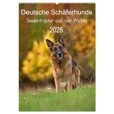 Abbildung von Deutsche Schäferhunde Seelentröster auf vier Pfoten (Wandkalender 2025 DIN A2 hoch), CALVENDO Monatskalender